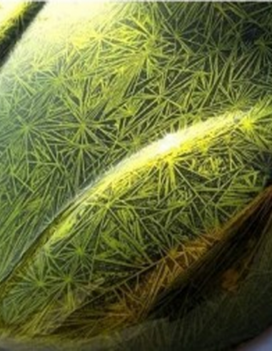 QUIERES REALIZAR EL EFECTO CRISTALES ROTOS O EFECTO CONGELADO