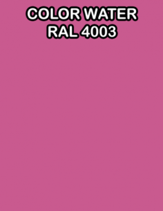 ACTIVADOR PRO COLOR WATER RAL 4003 ES ACTIVADOR MAS COLOR BASE