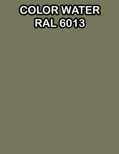 ACTIVADOR PRO COLOR WATER RAL 6013 ES ACTIVADOR MAS COLOR BASE