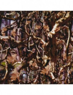 PELICULA HIDROIMPRESION EFECTO CAMUFLAJE 1206300