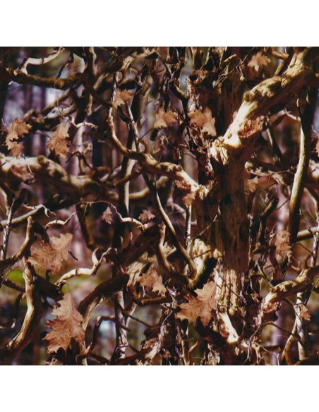 PELICULA HIDROIMPRESION EFECTO CAMUFLAJE 1206300