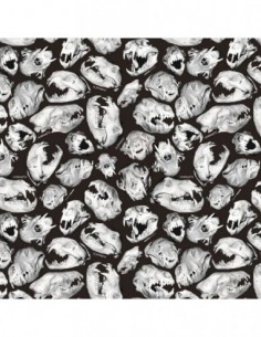 PELICULA HIDROIMPRESION EFECTO CALAVERA 1401400