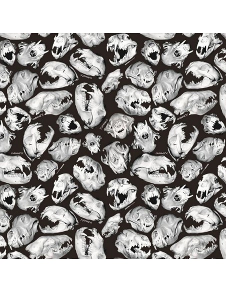 PELICULA HIDROIMPRESION EFECTO CALAVERA 1401400