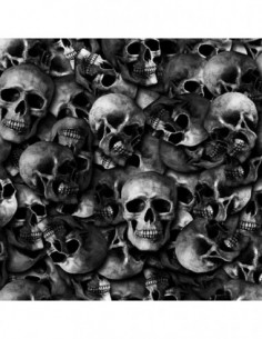 PELICULA HIDROIMPRESION EFECTO CALAVERA 1404100