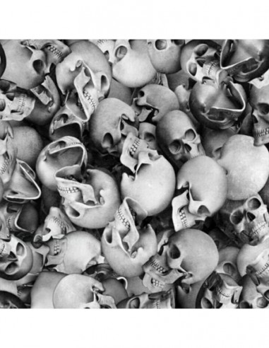 PELICULA HIDROIMPRESION EFECTO CALAVERA 1405400
