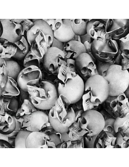 PELICULA HIDROIMPRESION EFECTO CALAVERA 1405400