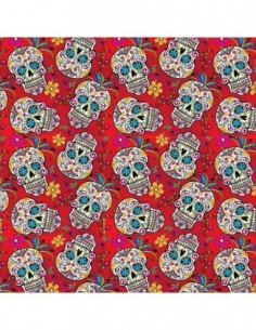 PELICULA HIDROIMPRESION EFECTO CALAVERA 1406300