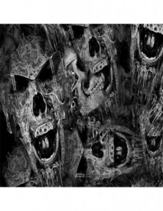 PELICULA HIDROIMPRESION EFECTO CALAVERA 1408100