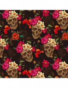PELICULA HIDROIMPRESION EFECTO CALAVERA 1408200