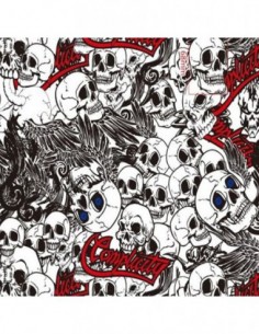 PELICULA HIDROIMPRESION EFECTO CALAVERA 1408500