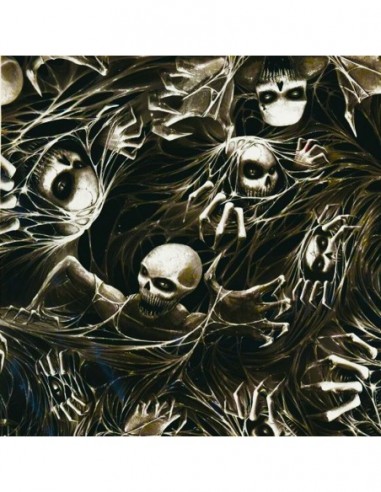 PELICULA HIDROIMPRESION EFECTO CALAVERA 1409600