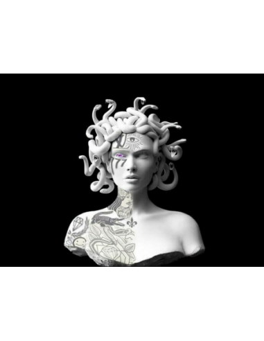 MANGO SKELETON PERSONALIZADO MEDUSA