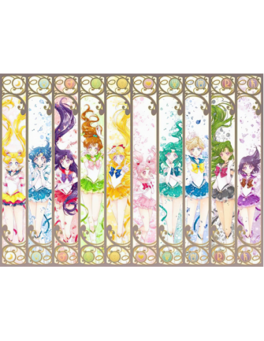MANGO SKELETON PERSONALIZADO SAILOR MOON 105