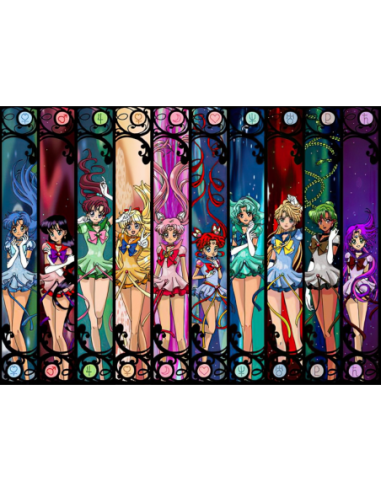MANGO SKELETON PERSONALIZADO SAILOR MOON 188
