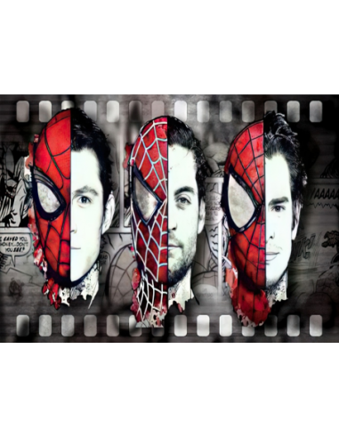 MANGO SKELETON PERSONALIZADO SPIDERMAN MARVEL 291