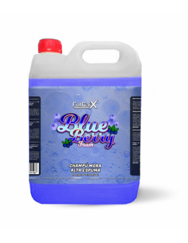 FULLCARX CHAMPÚ MORA ALTA ESPUMA - BLUEBERRY FOAM 5L