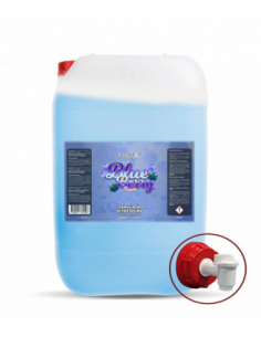 FULLCARX CHAMPÚ MORA ALTA ESPUMA - BLUEBERRY FOAM 25L