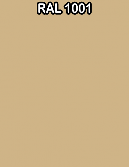 RAL 1001 COLOR BASE