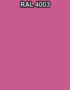RAL 4003 COLOR BASE