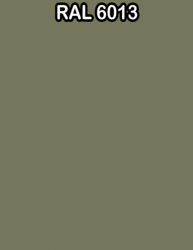 RAL 6013 COLOR BASE