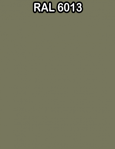 RAL 6013 COLOR BASE